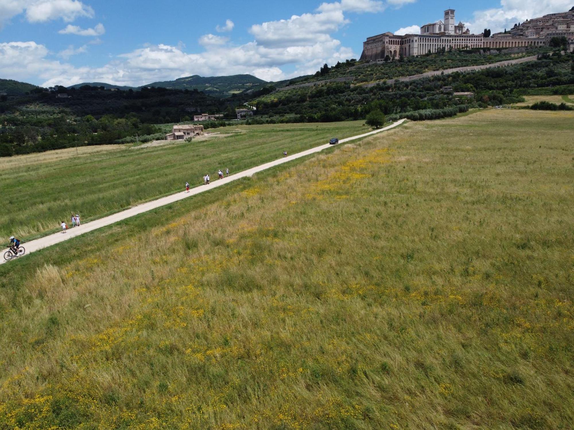 Agriturismo Molinella Асизи Екстериор снимка